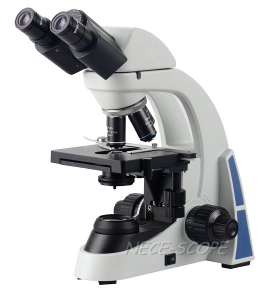 Compound Binocular Light Microscope With N.A.1.25 Abbe Condenser