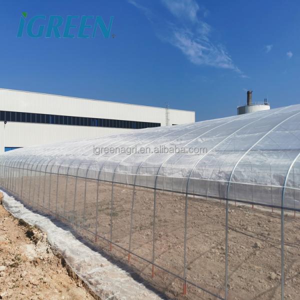 Low Cost China Wholesale Tunnel Greenhouse For Year Round Crop Growth And Resource Management