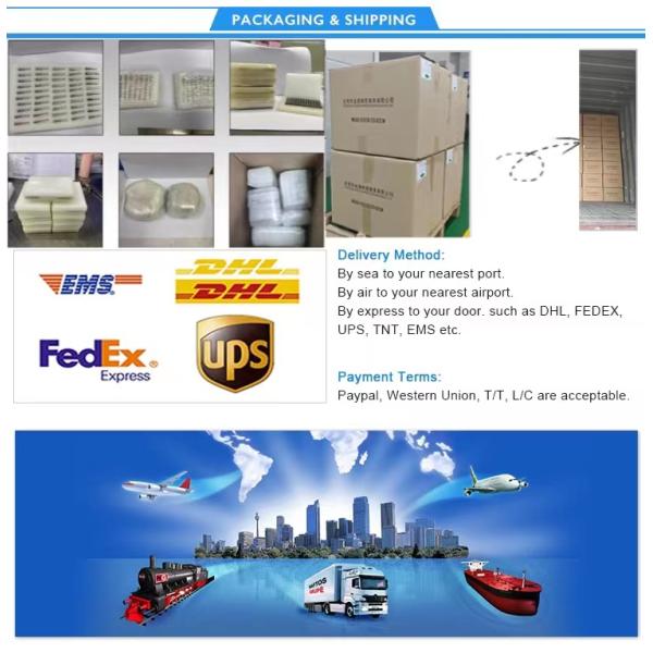 Сертификат ISO понижает металл блока вставки плашки штемпелюя точность OEM частей DC53 высокую