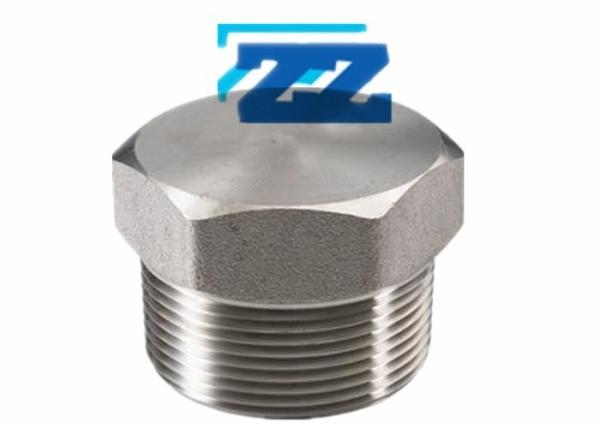 ASME B16 11 Hex Head Plug , 1 / 4  BSPP 304L Stainless Steel Tube Fittings