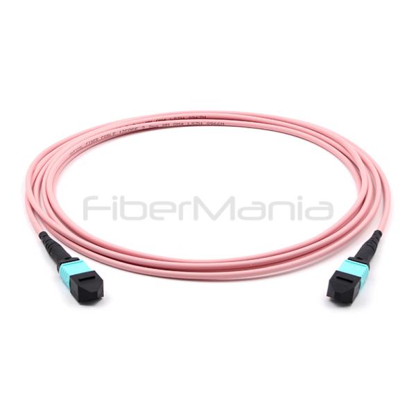 MPO Femme à MPO Femme Assemblage de câble de tronc 12 fibres Polarité A OM4 Veste rose