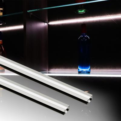 Panneau de verre à LED pour lampe à incandescence linéaire en aluminium en retrait de tension continue de 12 V A2102