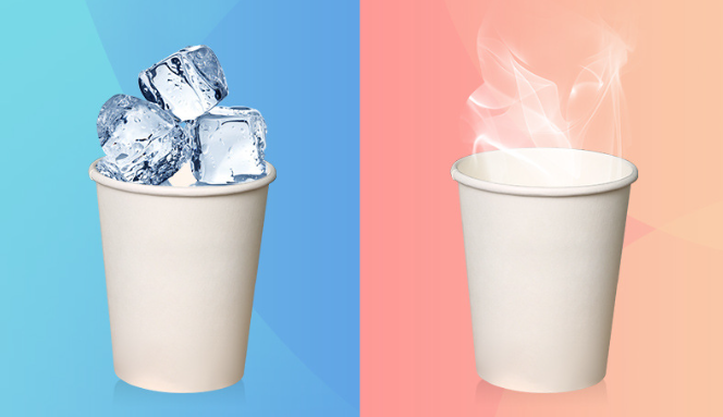 Biodegradable Takeaway Disposable Paper Coffee Cup With Double Wall Insulation