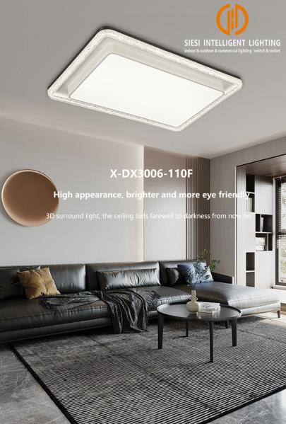 6000K LED Ceiling Lamp Anti Rust Iron Chassis for Home Commercial Space