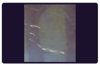 C205 BTDM-Ⅰ Vacuum coating fingerprint developing instrument