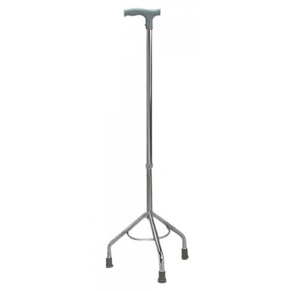 Cane