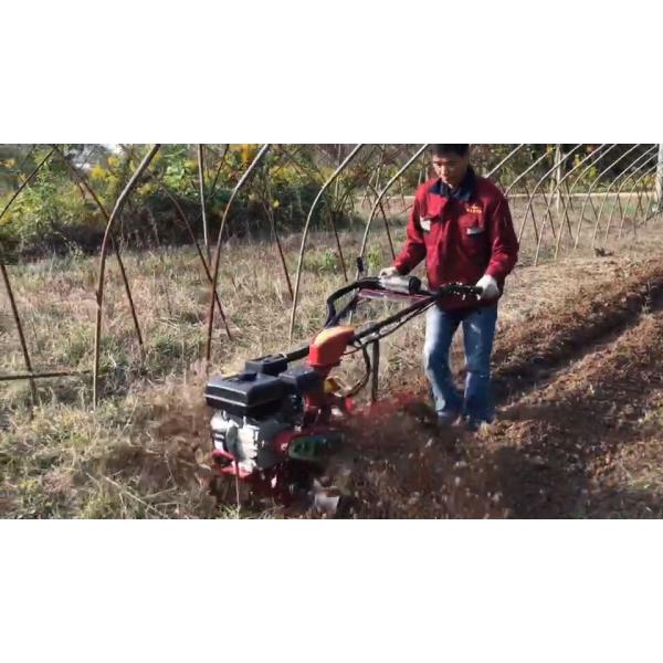 70cm Working Width Four-Wheel Drive Ditching Machine for Orchard Featuring Gasoline Engine