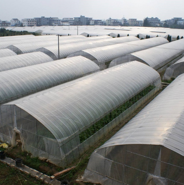 Thickness 0.12mm-0.8mm Plastic Film Greenhouse For Strawberries