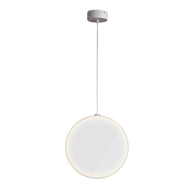 Art Decor Nordic Designer Convex Lens Glass Led Pendant Lights(WH-GP-88)