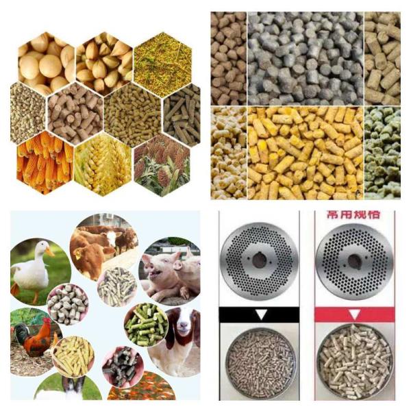 завод 380V 50HZ питания лепешки птицы стали углерода окомкователя корма для животных 3kw-30kw