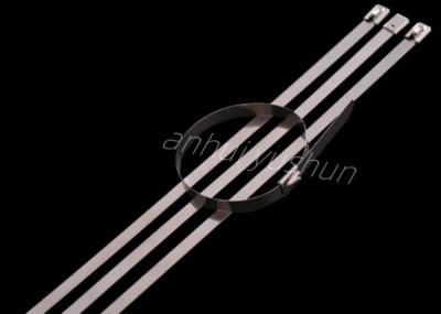 Adjustable 304SS Stainless Steel Cable Ties 300mm OEM