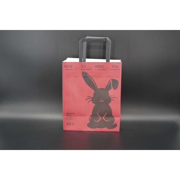 Versatile Paper Packing Bag Eco Lightweight Kraft Takeaway Bag