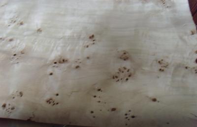 Álamo de madeira do folheado da mobília natural do Burl com AA/A/categoria do AB