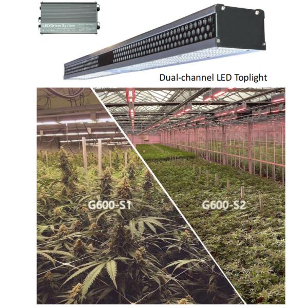 Commercial Greenhouse LED Grow Lights Supplemental 640W Toplighting
