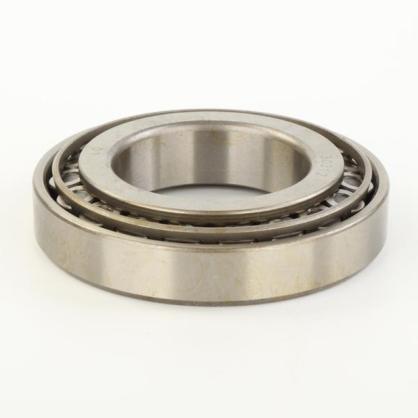 Roller Bearing 30200 Series 30300 Series 32200 Series 32300 Series Without Inner Ring