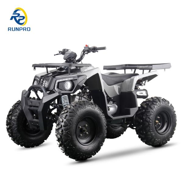 Electric Start 200CC 250CC ATV QUAD BIKE UTV 250CC Payload Capacity for Adult Riders