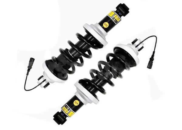 Les supports de choc arrière Assys avec ajustement électrique 2016-2021 Audi R8 4S3 4SP 2016-2021 4S0512019G