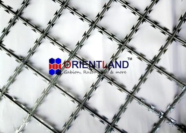 Resistência de corrosão soldada galvanizada mergulhada quente da cerca de fio da lâmina cerca de aço
