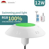 O ABS 250LM RGB de AC12V conduziu o controlo a distância do VDE das luzes 12W da piscina