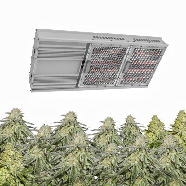 1000W greenhouse horticulture toplight indoor plants high efficiency IP65 HPS replacement Cusmotized Spectrum