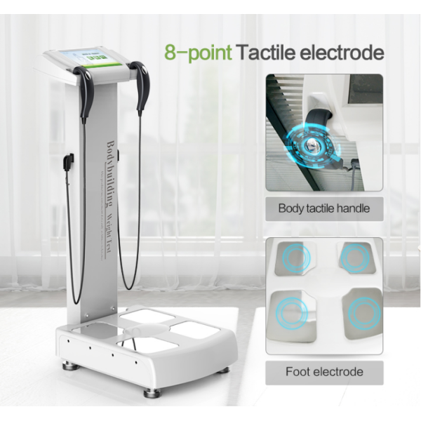 Gym Center BIA Body Inbody Analyzer Machine/Body Analyzer/Body Composition Analyzer