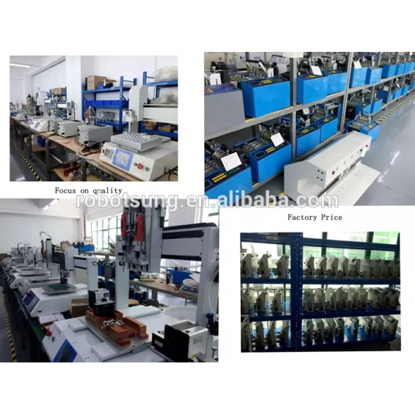 YS-L601 up and Down Moving Type Automatic Screwdriver Machine with Auto Screw Feeder for Electronics Assembly