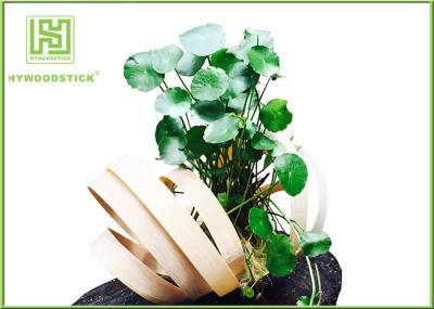 Unique Bamboo Plant Pot Hanging Flower Box , Bamboo Flower Containers Customized Handle