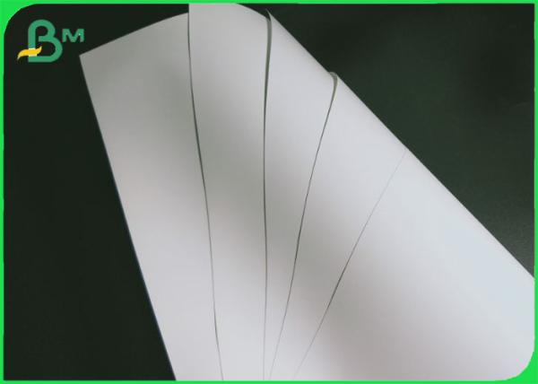 de papier synthétiques d'ANIMAL FAMILIER de 100UM 120UM 200UM imperméabilisent la larme résistante