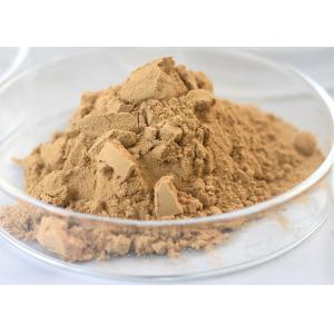 Food Grade Enzymes