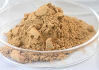 Main Enzymes 50000-100000U/G Food Grade Neutral Protease OEM ODM