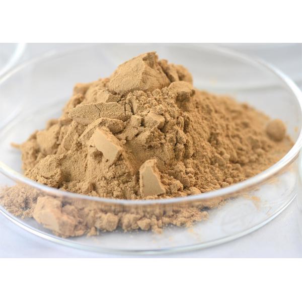 Food Grade Neutral Protease 50,000-100,000U/g | Bacillus Subtilis Fermentation, Boost Yield For Brewing, Bakery, Dairy, Meat Processing | ISO22000 Factory OEM ODM