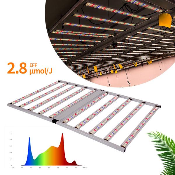 Lampes de culture LED de style 10 barres 1000W 4×6 pieds Spectre complet avec Samsung LM301H EVO LM281B
