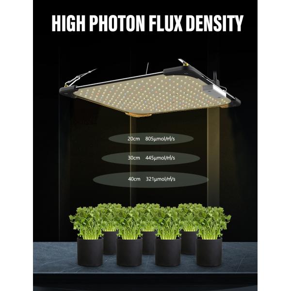 Muizlux Dimming 60W Led Light Panel For Plant Growth Private Model Waterproof