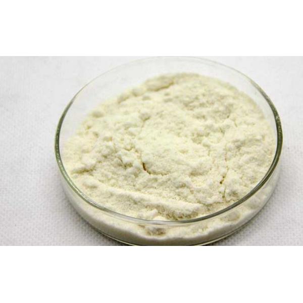 100% Natural Lyophilized Royal Jelly Powder For Health Care