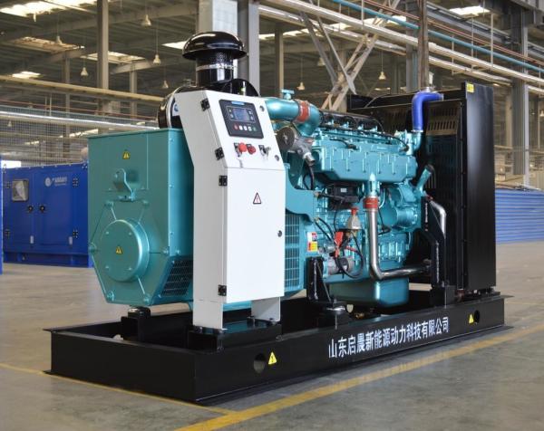 Factory Directly Supply LNG CNG Natural Gas Generator with Low Price