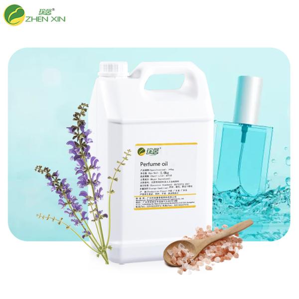 Sea Wind Fragrance Oil Sea Salt Perfume Oil Factory Supplier For Perfume Making