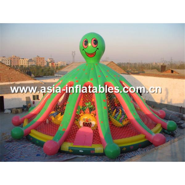 Novel lovely lawn commercial inflatable combo for sale