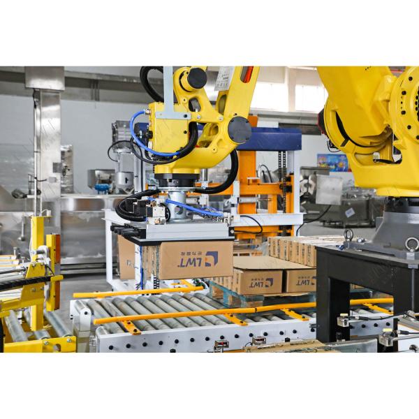 Bag Pet Food Palletizer System Packaging Production Line Equipment