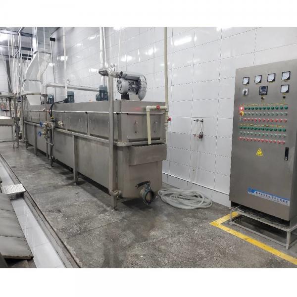 500PCS Автоматическое оборудование для птицехранилища Нержавеющая сталь линия для выращивания курицы