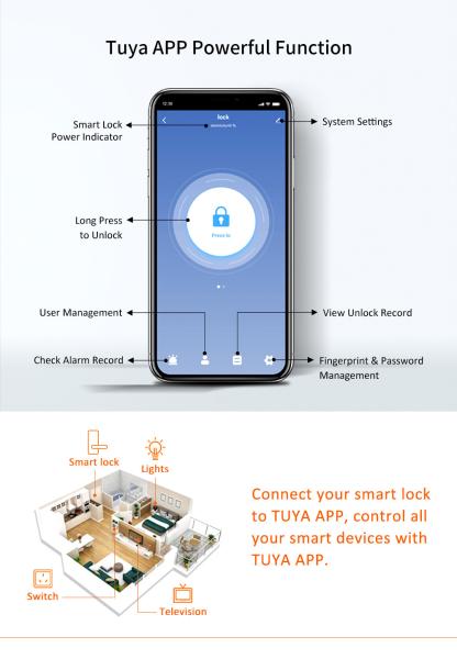 Avertissement biométrique de basse tension de serrure de porte d'empreinte digitale d'anti éraflure pour l'appartement