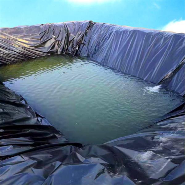 Черный водоем 0,5 мм HDPE для очистки отходов водоем стиль современный дизайн