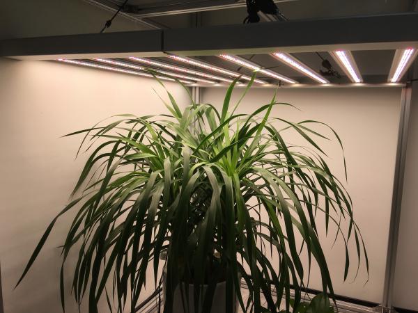 Famous Brand Driver Samsung LM301B 365nm Veg Grow Light