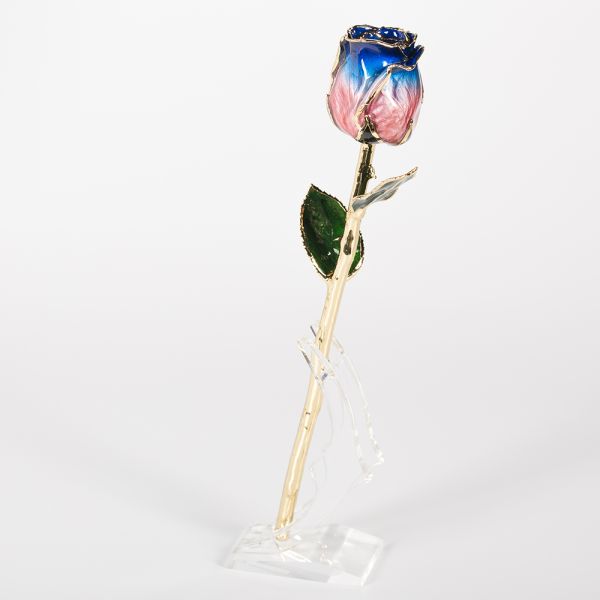 Gold Trimmed Rose Preservied  Rose for Valentine Mother Day Christmas Gifts Handmade Eternal Rose