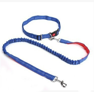 Вокруг пояса ведущего каната любимца талии взрывозащищенного для средних больших собак