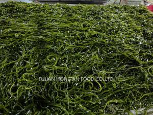 1 ano Vida útil Kelp Kombu Brotos de mar Vegetais Verde Cor Umami Sabor