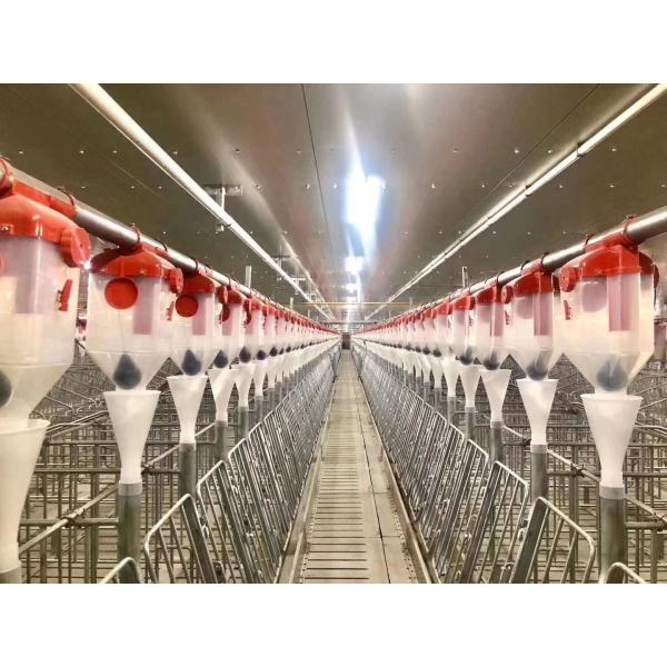 Instalación en el lugar de la fábrica de cervecería Estructura de acero Granja de aves de corral Granja para cerditos