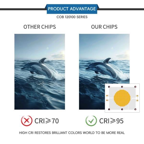 Puissance élevée COB LED Chip 1200W Bi couleur 2800k 6500k LED COB Chip pour lampe photographique