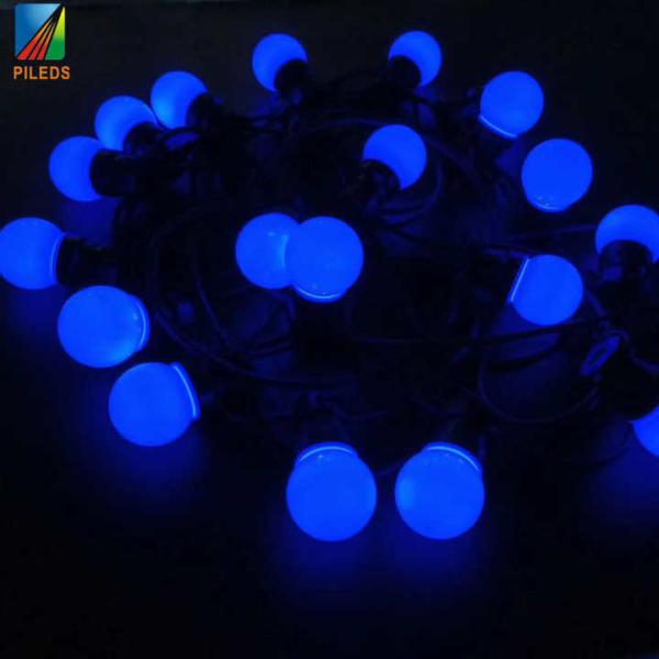 Commercial LED Point Light , Warm White festoon string lights outdoor 24V 10m 20m