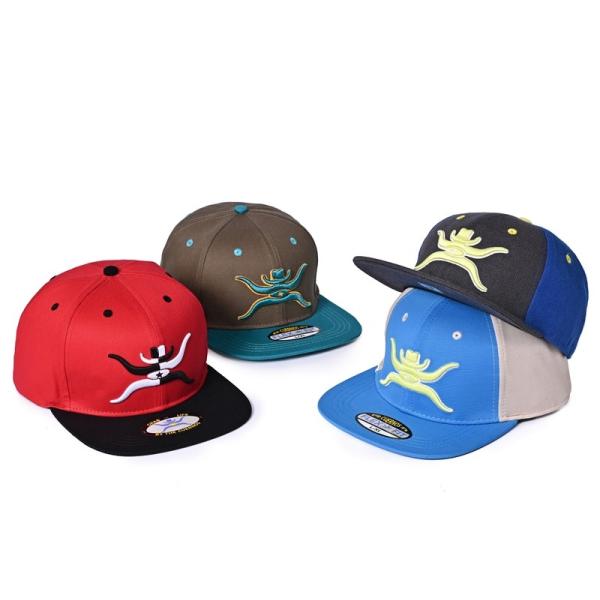 3D Embroidery New Era Snapback Caps Acrylic Wool Hip Hop Caps