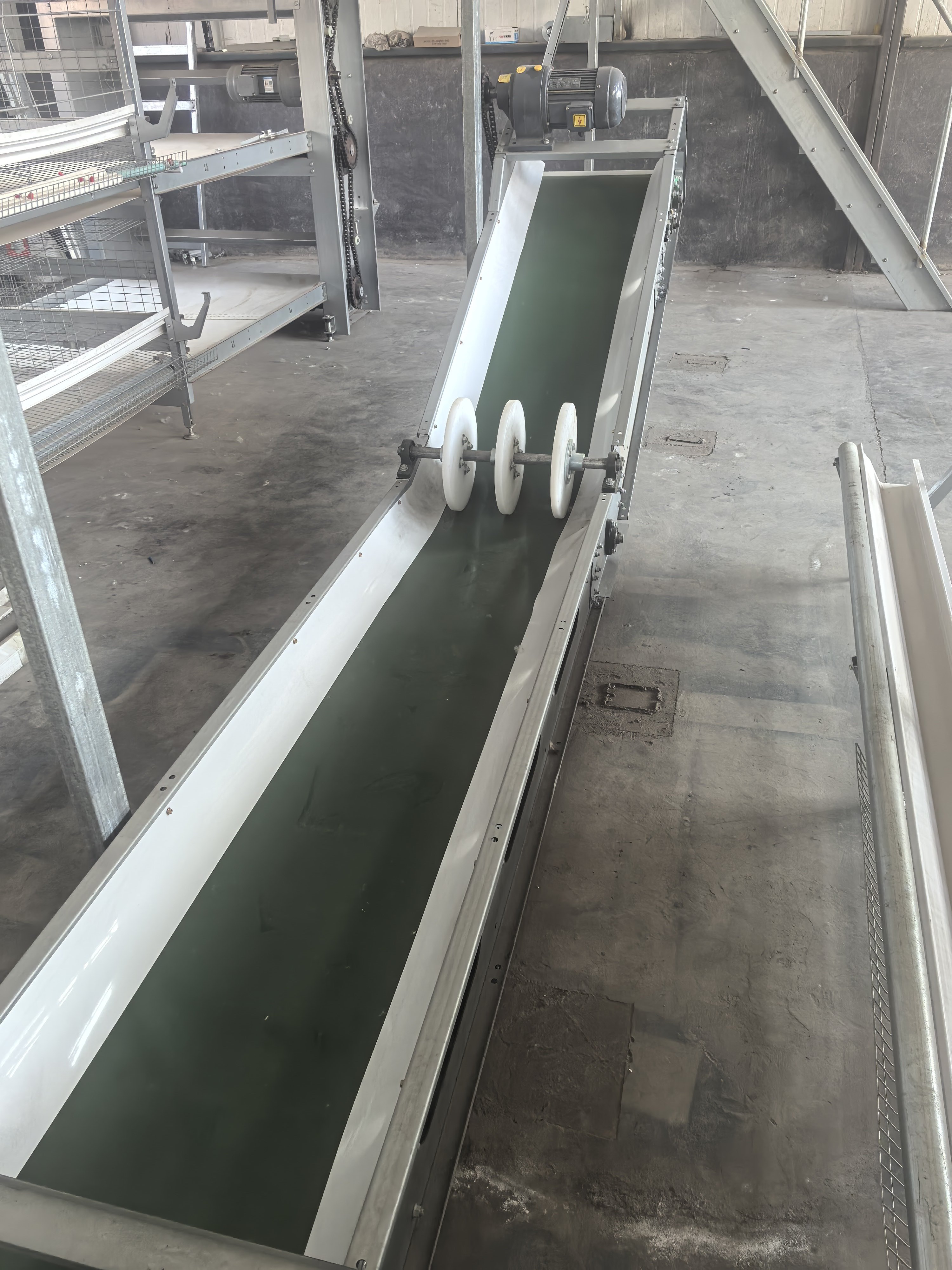 Automatic manure removal system